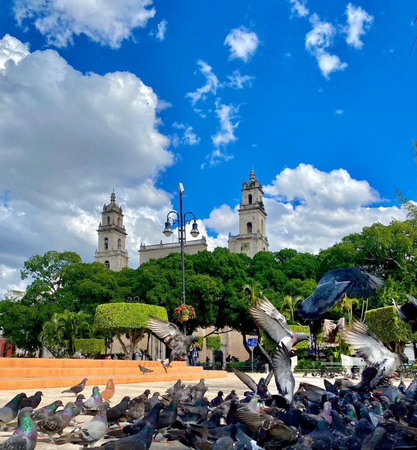 ホテル Casa Colonial Gonzalez メリダ エクステリア 写真